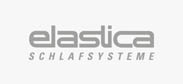 elastica logo